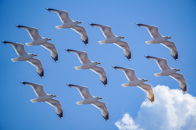 2023年属牛男的感情运势,属牛男今年的感情状态如何