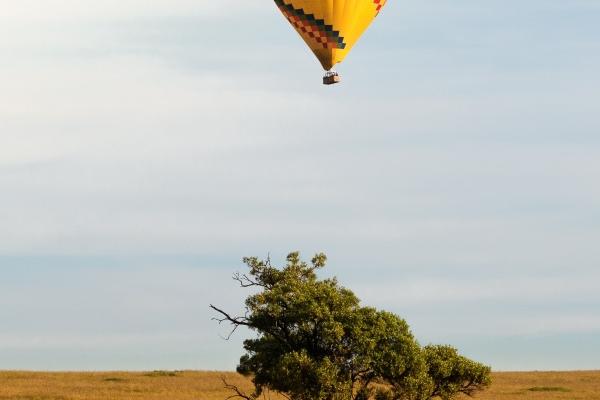 2023年8月30日中元节属什么 生肖冲什么