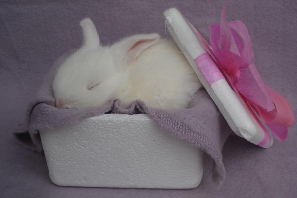 1988年男龙2023年的全年运势，88年属龙男2023年最新运势分析