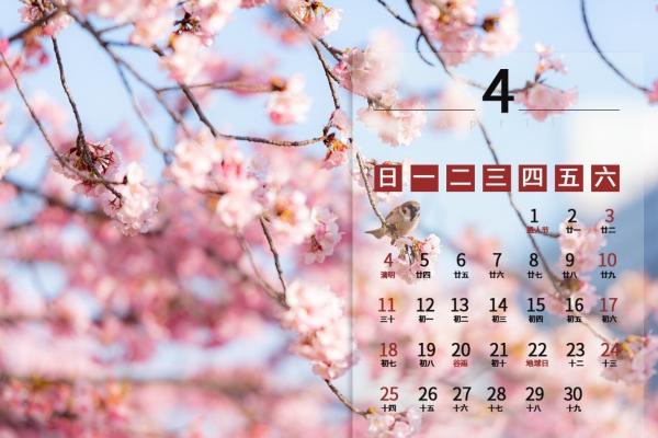 83年猪做什么生意发大财运，属猪适合什么行业