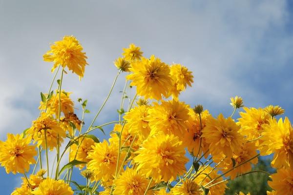 老公管不住的四大生肖女 易招惹烂桃花