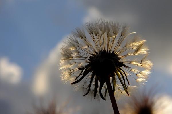 2023值太岁是谁 值太岁生肖是兔