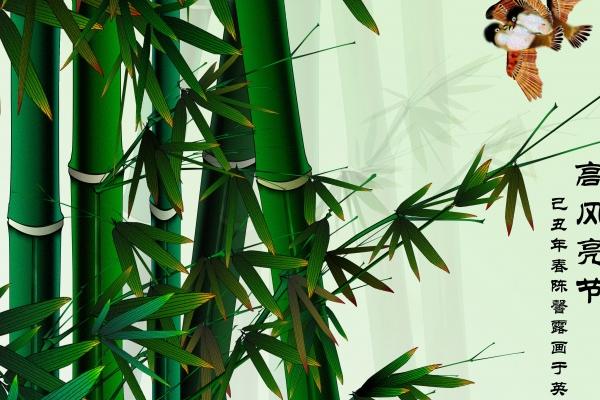 2023年属鼠男的运势和财运,财运如何