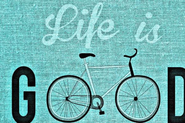 1987兔生个2023兔冲吗 2023年兔宝宝好吗