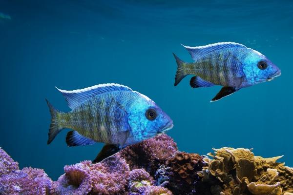 87年女兔2023年生孩子行吗 生孩子要注意什么