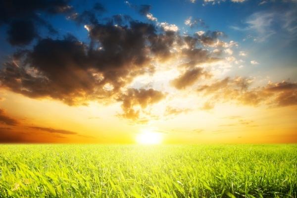 93年属鸡和96年属鼠的婚姻配吗 天造地设越过越旺