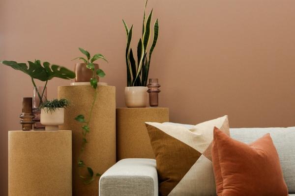 属马与属鼠婚配好不好 关系并不是非黑即白