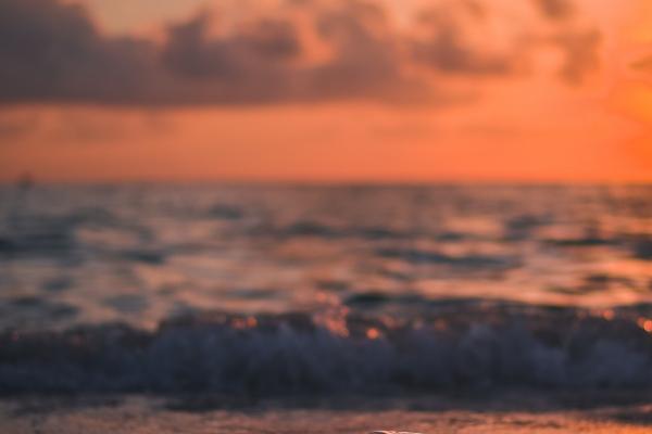 属兔几月份出生好 七八和十二月比较吉利