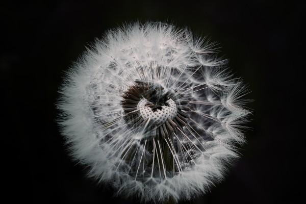 属兔啥时辰出生最好 好命出生时辰介绍