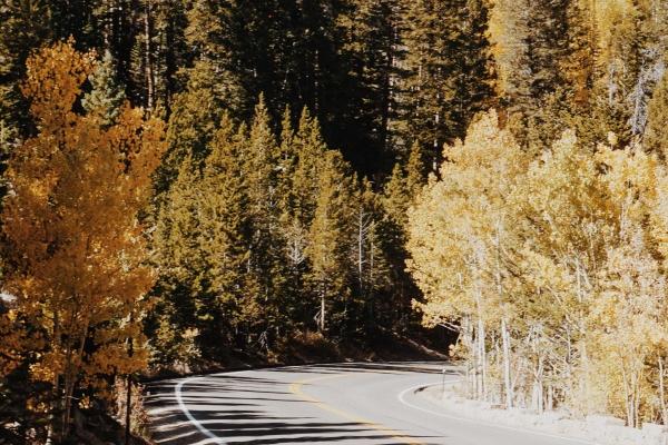 1972年出生的属什么 72年属鼠是什么命