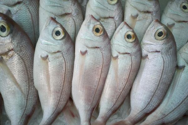 男兔女蛇相配婚姻会怎么样 一起生活比较合适