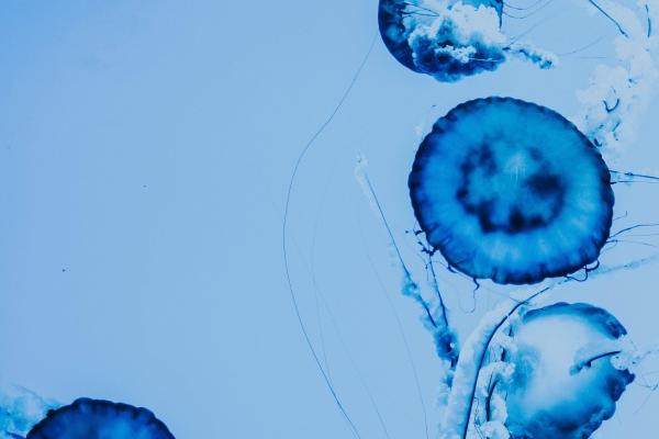 2023年属兔出生的运势和财运如何 整体表现平稳