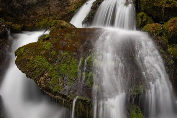 越懒越好命的属相女 寅虎巳蛇申猴