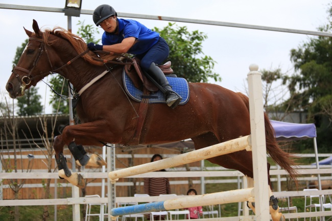 属猪2023年有大喜缠身,属猪的今年有什么喜事