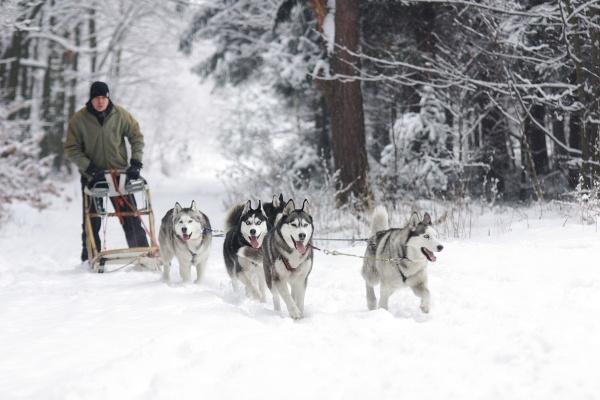 属蛇2023年的财运怎么样,属蛇人今年几月财运最旺