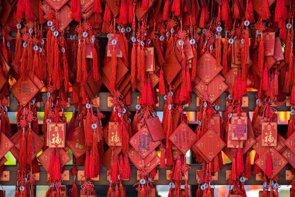 属兔和属羊的人在一起了会怎么样 命格相合共同成长