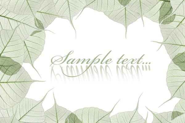 82年属狗2023年财运方位,哪个方位财运最好