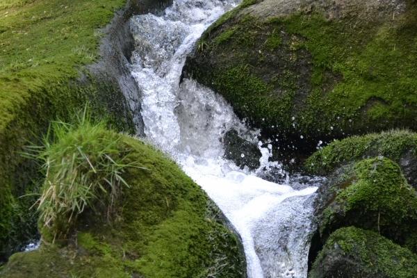 属兔女适合佩戴什么首饰 带什么饰品好