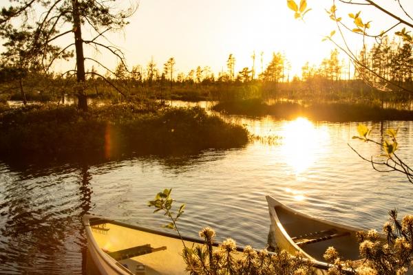 属马与属鼠结婚后命运如何 属鼠和属马并不是最佳的配对