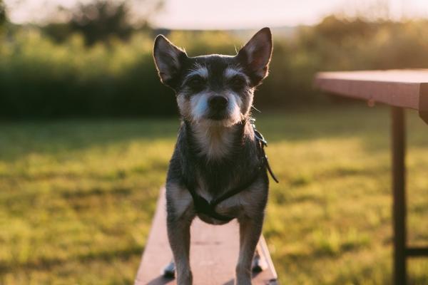 73属牛50岁大运,73年属牛人2023年50岁运势如何