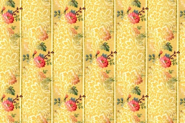 属兔女容易出轨的年龄 40岁是一个坎