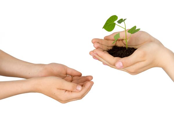 晚年必暴富的生肖 作好理财规划勿高调