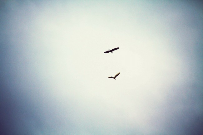 76年属龙女二次婚姻在多少岁,什么时候会二婚