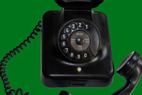 10月学习运最好的生肖2023年 可以在学习中获得乐趣和成就感