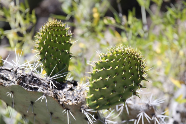 男92猴女98虎八字合吗,二人合适吗