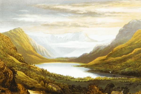 属虎与哪个属相相克 和属虎相克的生肖