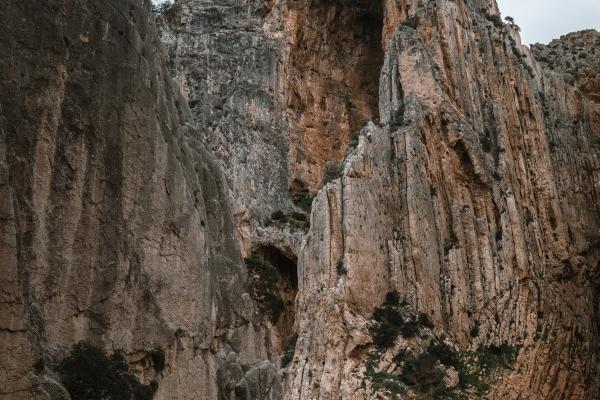 属兔87年二婚在什么时候,属兔的最佳婚配