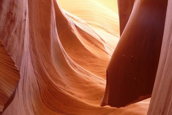 2023年属狗终于转运了,属狗2023年运势如何