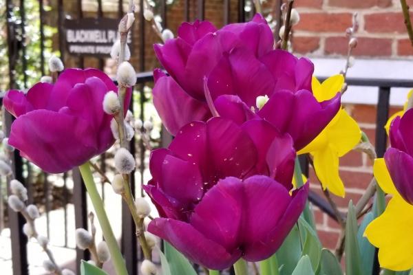 男兔和女牛和不和 五行相互补足命数相合