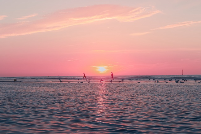 鼠猴合不合 属鼠的人和属猴的人在一起好不好