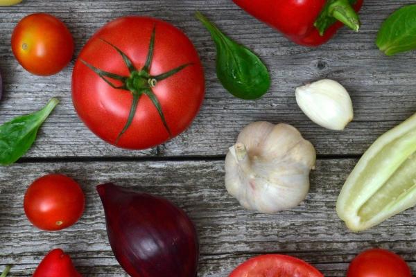 属兔的守护神是什么菩萨,属兔的吉祥物是什么