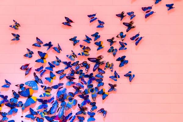 2023年黑兔年结婚好不好 结婚注意什么