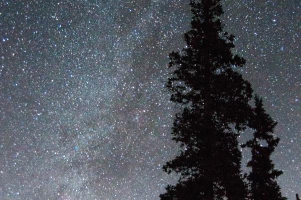 牛和虎能过到老吗 着眼现实在一起问题不大