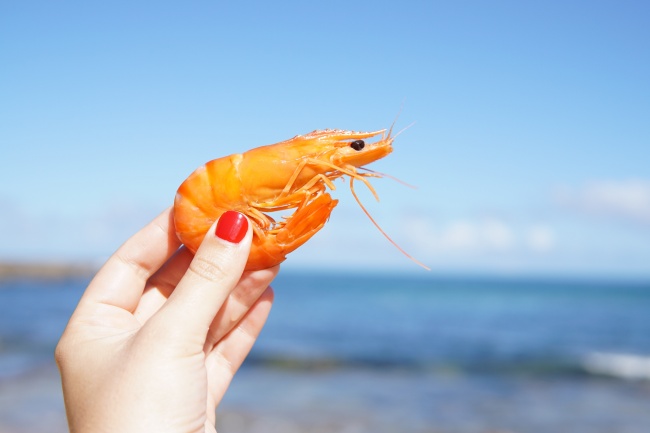 2023年4月10日可以搬家吗 是不是搬家最佳日期