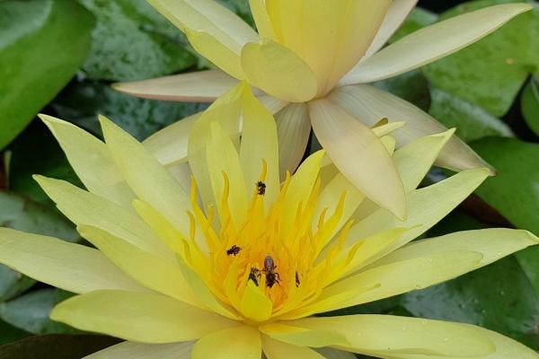 天缘巧合的生肖配对 小日子过得别提有多红火了