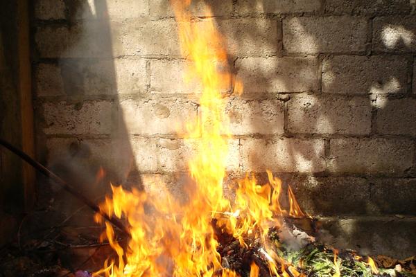 一辈子注定拆不散的生肖配对 天作之合性格很合拍