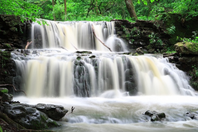 属狗2023年4月运势解析，整体稳定财运有所提升