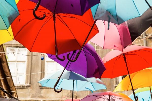 1987年属兔开店旺财名字大全,87年兔店铺起什么名字最好