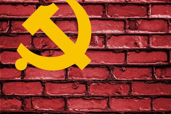 2023年95属猪男感情运势，95年属猪男今年感情顺利吗