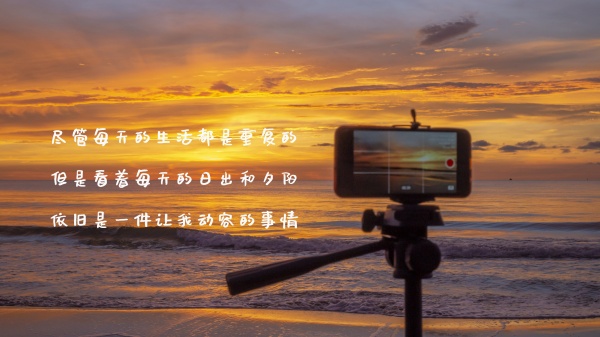 2023年处暑属什么 生肖冲什么