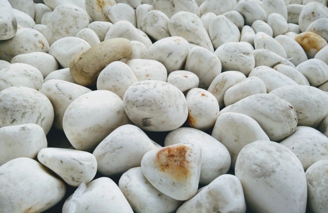 典型的富婆命的生肖女 拥有灿烂美好的未来人生