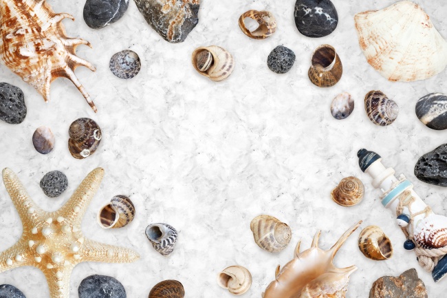 鸡跟龙属相合不合 生肖鸡和生肖龙属相配吗