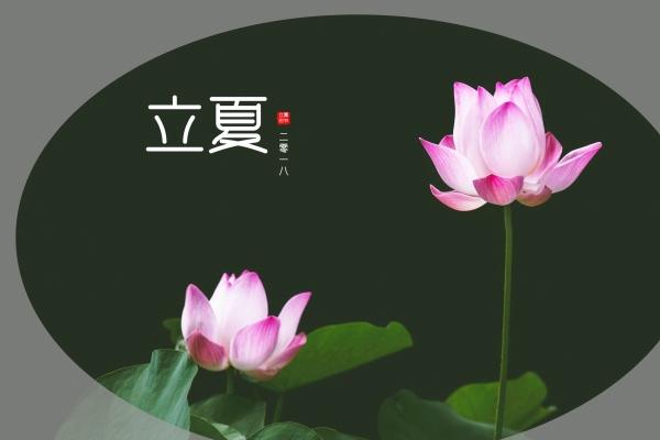 1990男马1992女猴相配 性格互补适合在一起