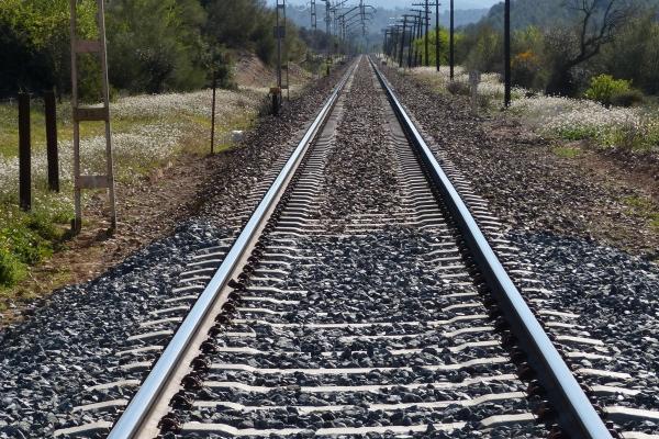 社会地位高的生肖男 成为人上人未来太美好