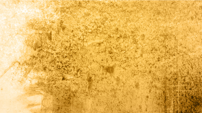 2023年必走桃花运生肖,今年桃花运最旺的属相