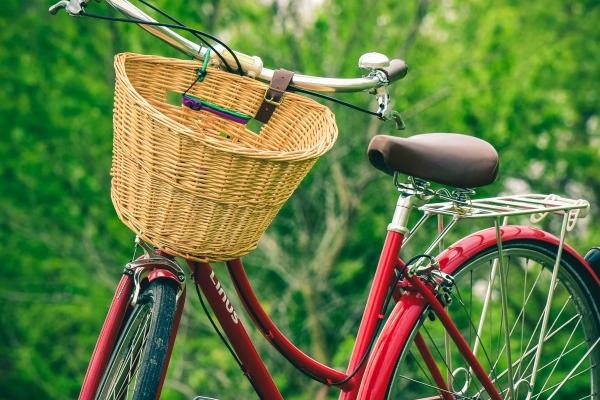 注定功成名就的生肖 综合实力强悍人缘好